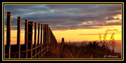 21st Feb 2014 - Sunset fence