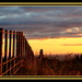 Sunset fence by julzmaioro