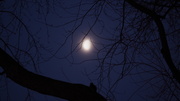 20th Feb 2014 - Misty Moon