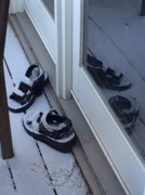 20th Feb 2014 - Sandals in the snow