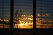 20th Feb 2014 - Sunset Through the Blinds
