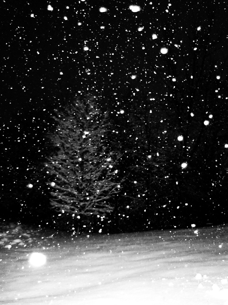 Snowy Evening by dakotakid35