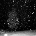 Snowy Evening by dakotakid35