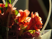 20th Feb 2014 - Flowers in a basket
