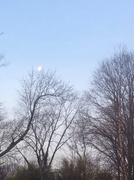 21st Feb 2014 - Moonrise
