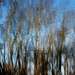 Lake Reflecting by linnypinny