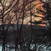 Winter Rainbow by mzzhope