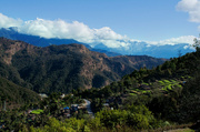 16th Feb 2014 - Lush Nepal