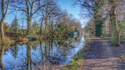 21st Feb 2014 - A sunny day along the canal