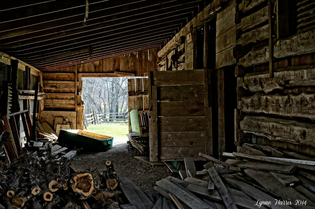 Inside the Barn by lynne5477