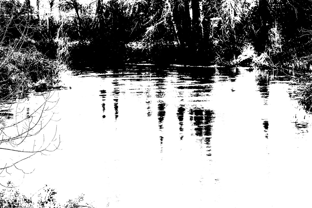 River by nanderson