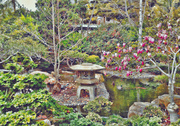 22nd Feb 2014 - Little Garden At San Diego Zoo