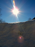22nd Feb 2014 - Sunshine over the snow!