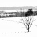 Winter Overview by digitalrn