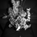 Flower arrangement by randy23