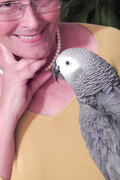 21st Feb 2014 - Pretty Polly!
