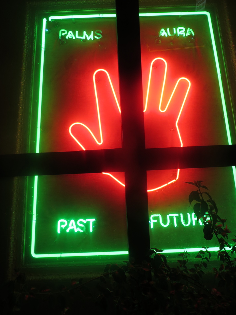 Neon Palm by lisasutton