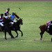 BMW NZ Polo Open by dide