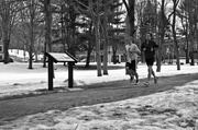23rd Feb 2014 - Runners