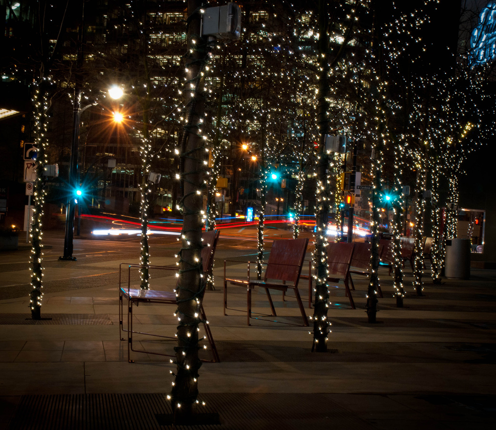 Tree lights by tracybeautychick