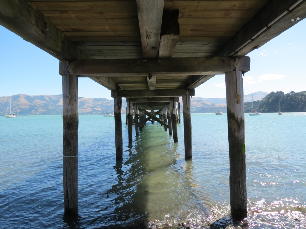 Under The Boardwalk by kiwiflora