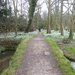 Snowdrops by jeff