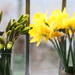 Generation Gap by daffodill