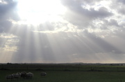 24th Feb 2014 - Some more rays of light