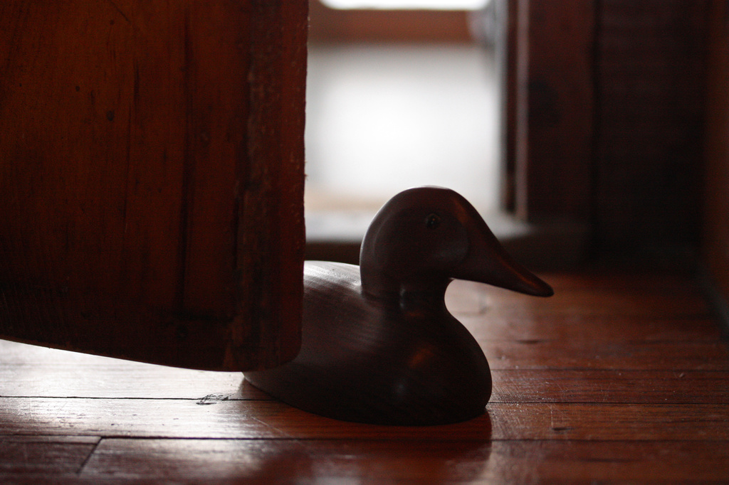 A Duck at the Door. by mzzhope