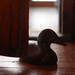 A Duck at the Door. by mzzhope