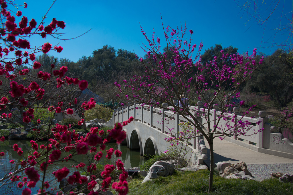 Cross That Bridge by stray_shooter