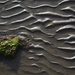 Sand patterns, mudflat marsh near Charleston Harbor by congaree