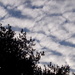 Cloudiest Sky by linnypinny