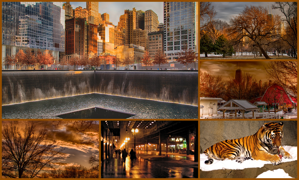 NYC Meets Chicago in an Orange Collage by taffy