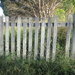 Old Country Fence. 1 by happysnaps