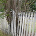 Old Country Fence. 2  by happysnaps