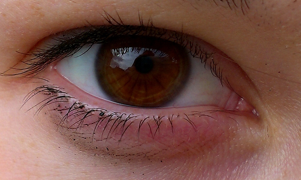 Brown eye by pavlina