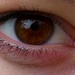 Brown eye by pavlina