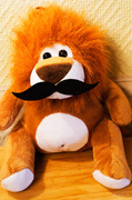26th Feb 2014 - Mustache on a lion