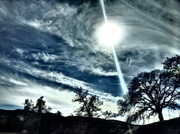 22nd Feb 2014 - California Sun and Sky