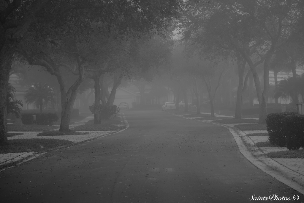 Foggy morning by stcyr1up