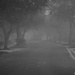 Foggy morning by stcyr1up