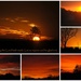 Sunrise, Sunset by genealogygenie