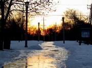 26th Feb 2014 - Icy path
