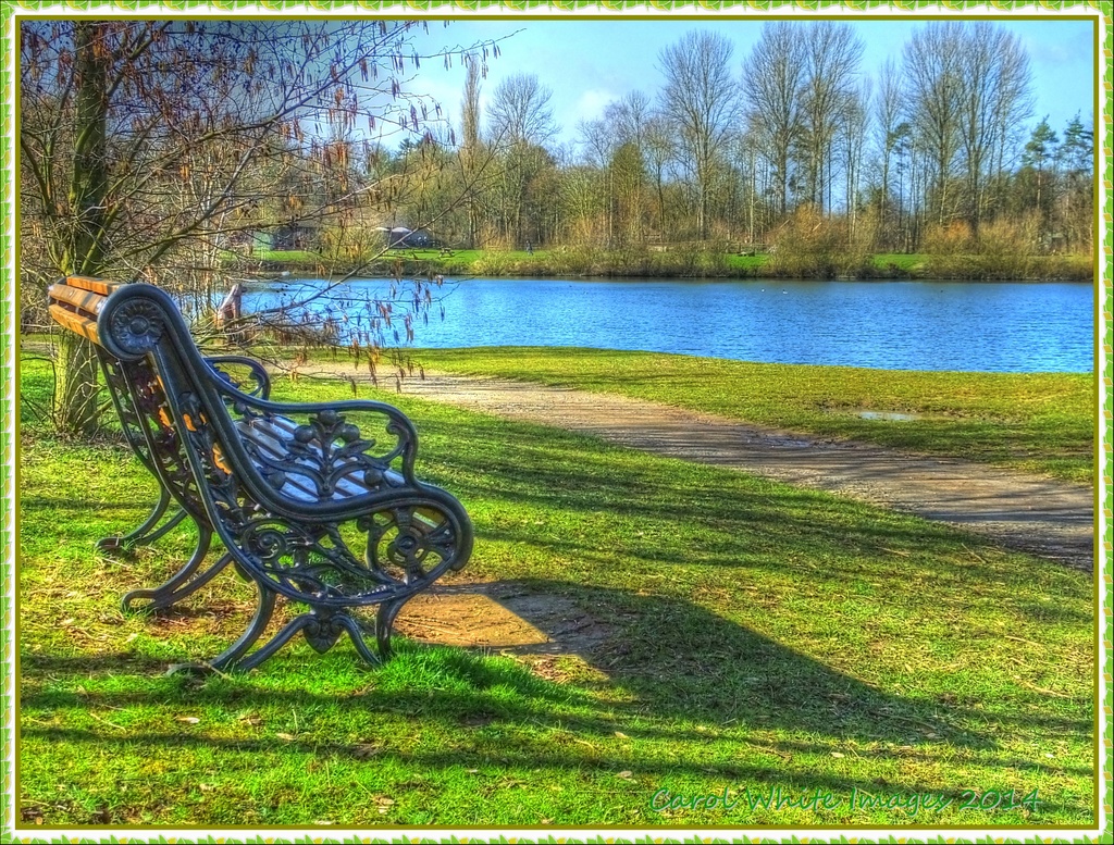 A Seat In The Sun by carolmw