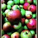 Apples  by rich57