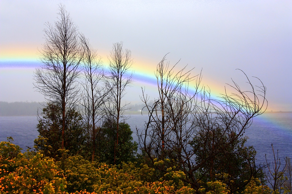 Rainbow over Eikenhof Dam by eleanor