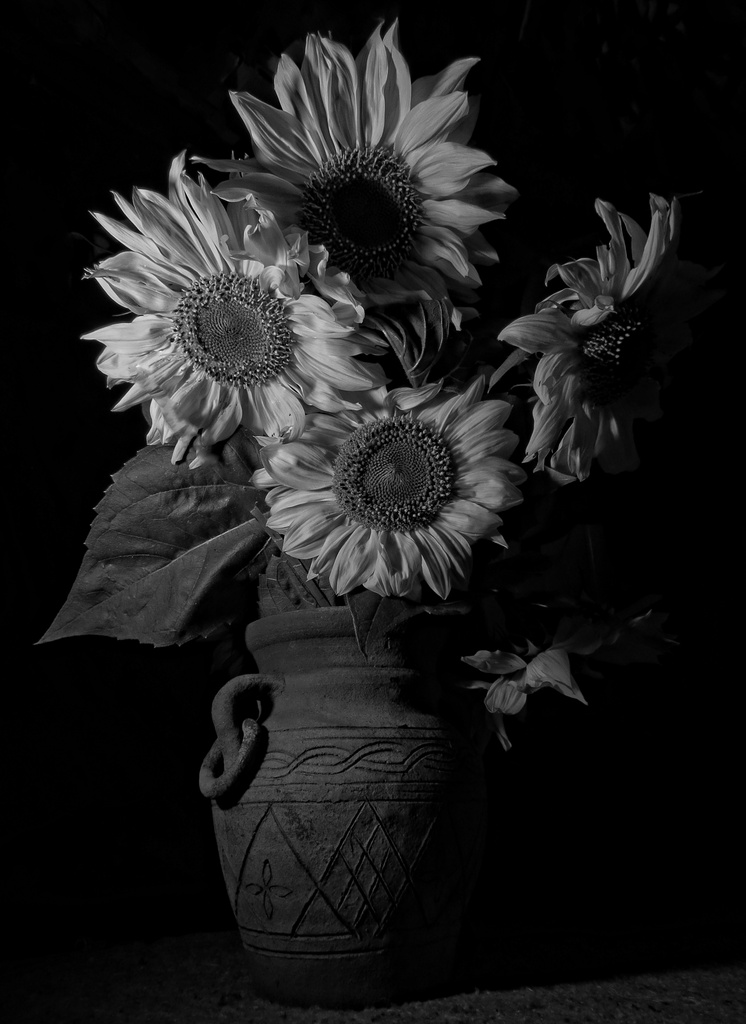 sunflowers at midnight by kali66