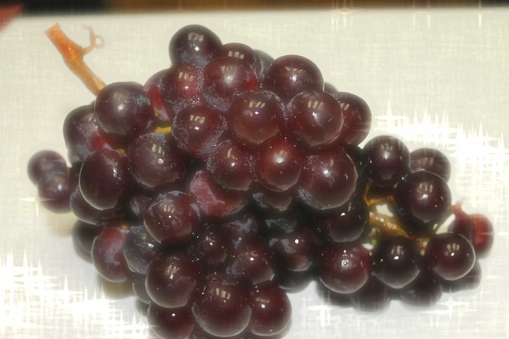 Grapes by judyc57