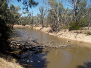 22nd Feb 2014 - River bend
